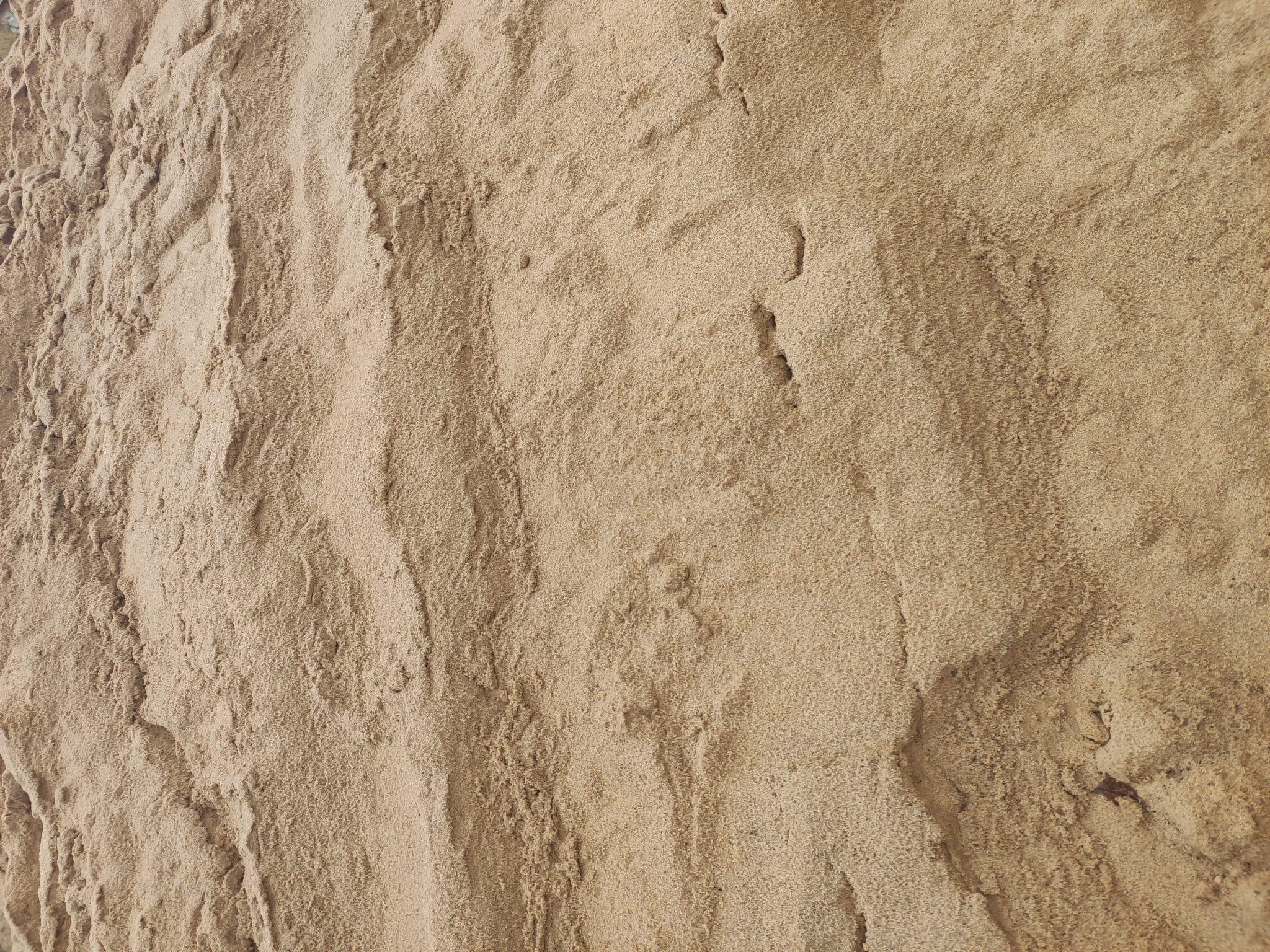 Żółty piasek o zróżnicowanej granulacji, pojedyncze ziarna wielkości od główki szpilki do 1/4 szerokości paznokcia (0-4mm).